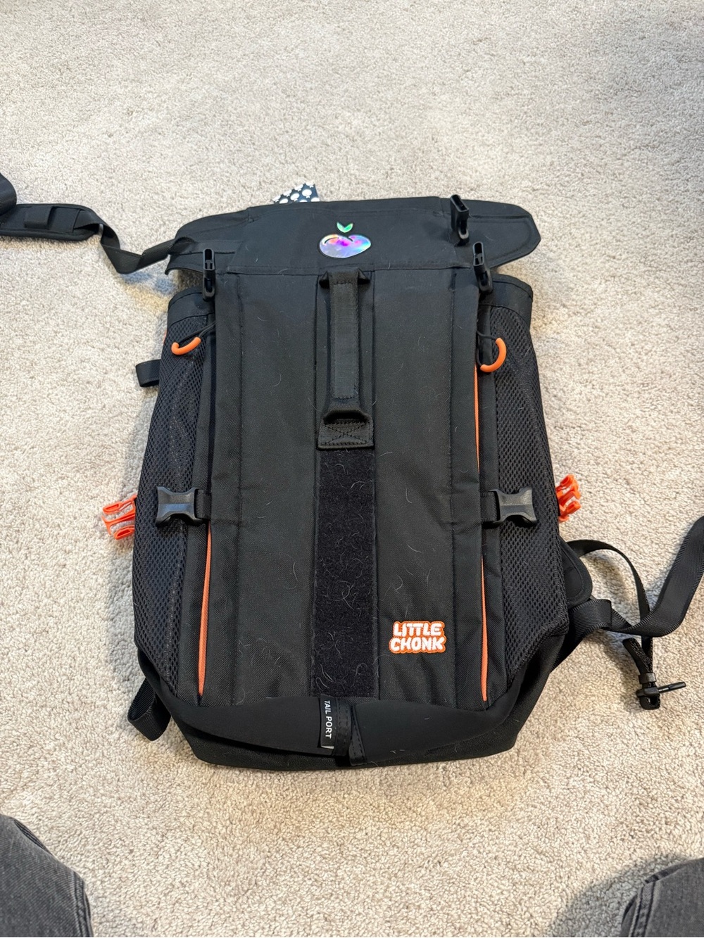 Little Chonk Dog backpack